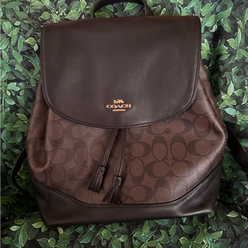 Coach Dark Brown Signature Backpack